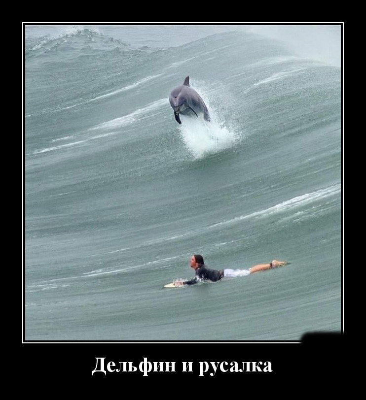 Podborka luchshikh demotivatorov 529 014